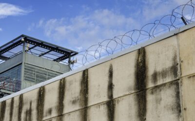 The added value of bodycams in prisons